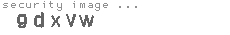 security code