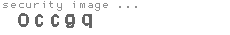 security code
