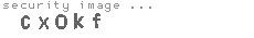 security code