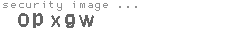 security code