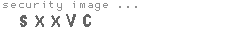 security code