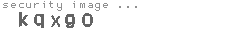 security code