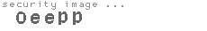 security code