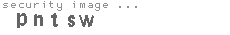 security code