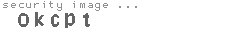 security code