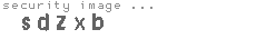 security code