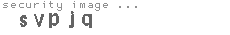 security code