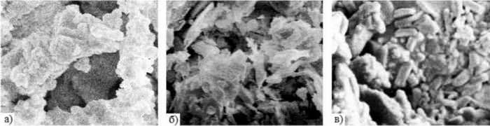Рис. 2. Микроморфология скола образцов керамики (увеличение ×1000)