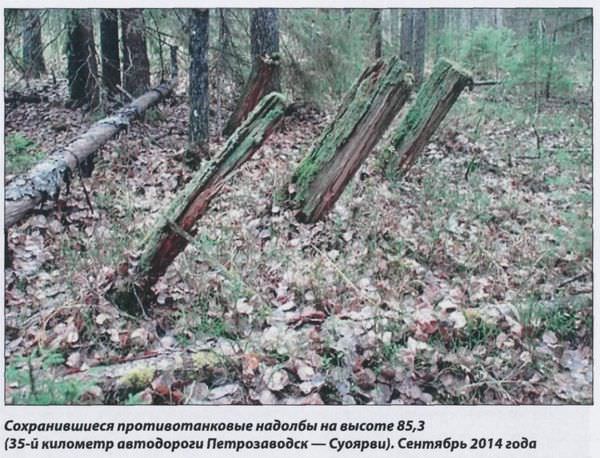 Сохранившиеся противотанковые надолбы на высоте 85,3 (35-й километр автодороги Петрозаводск - Суоярви). Сентябрь 2014 года